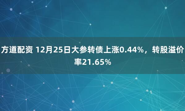 方道配资 12月25日大参转债上涨0.44%，转股溢价率21.65%