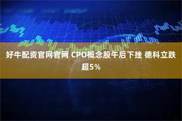 好牛配资官网官网 CPO概念股午后下挫 德科立跌超5%