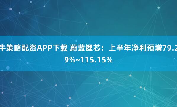 牛策略配资APP下载 蔚蓝锂芯：上半年净利预增79.29%~115.15%