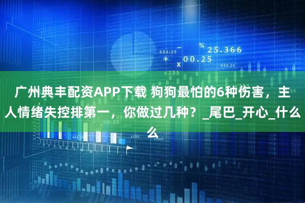 广州典丰配资APP下载 狗狗最怕的6种伤害,主人情绪失控排第一,你做过几种?_尾巴_开心_什么