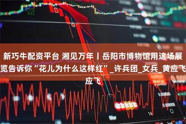 新巧牛配资平台 湘见万年丨岳阳市博物馆用这场展览告诉你“花儿为什么这样红”_许兵团_女兵_黄应飞