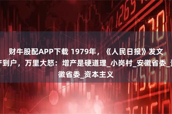财牛股配APP下载 1979年,《人民日报》发文痛批包产到户,万里大怒:增产是硬道理_小岗村_安徽省委_资本主义