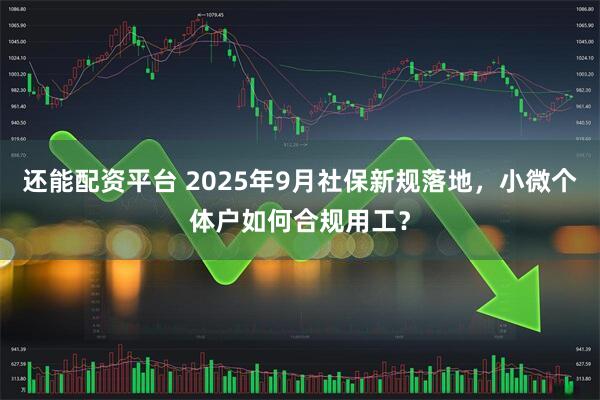 还能配资平台 2025年9月社保新规落地，小微个体户如何合规用工？