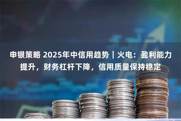 申银策略 2025年中信用趋势|火电:盈利能力提升,财务杠杆下降,信用质量保持稳定